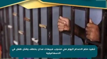 تنفيذ حكم الإعدام اليوم على مندوب مبيعات مدان بخطف وقتل طفل في الإسماعيلية